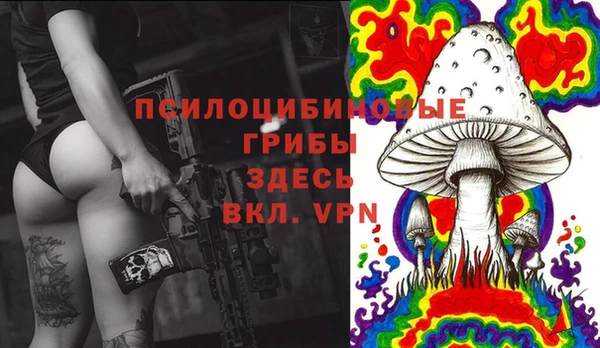 амф Алексеевка