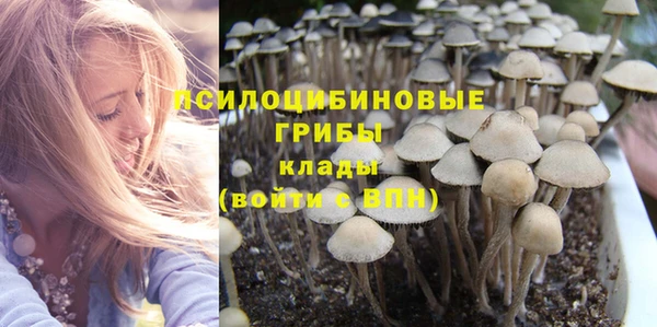 крисы Алзамай