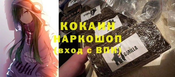 крисы Алзамай