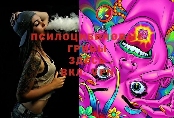 мдпв Алексин